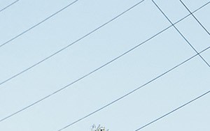 Legacy at Walton Overlook | Apartments in Acworth, GA